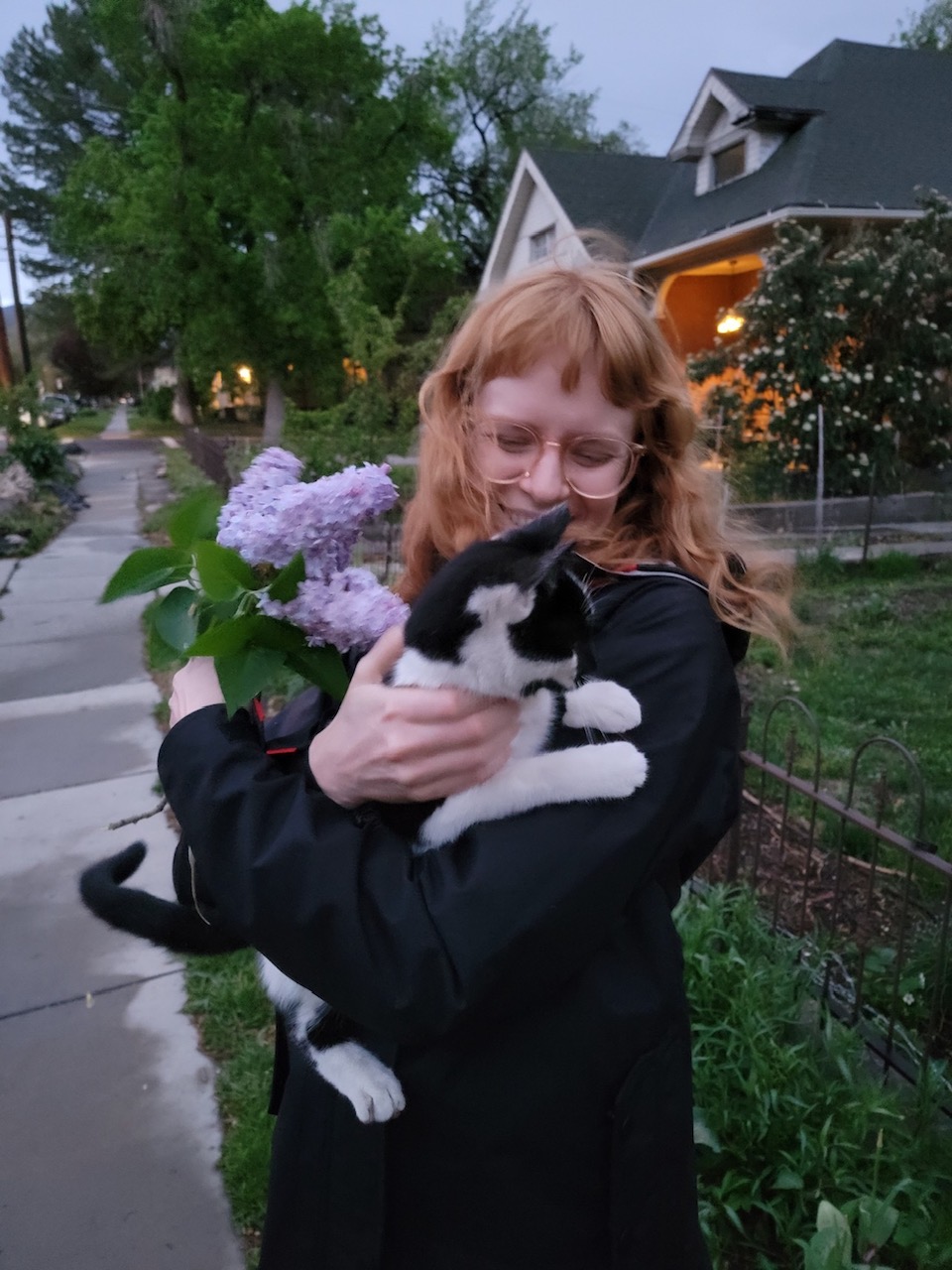 found cat