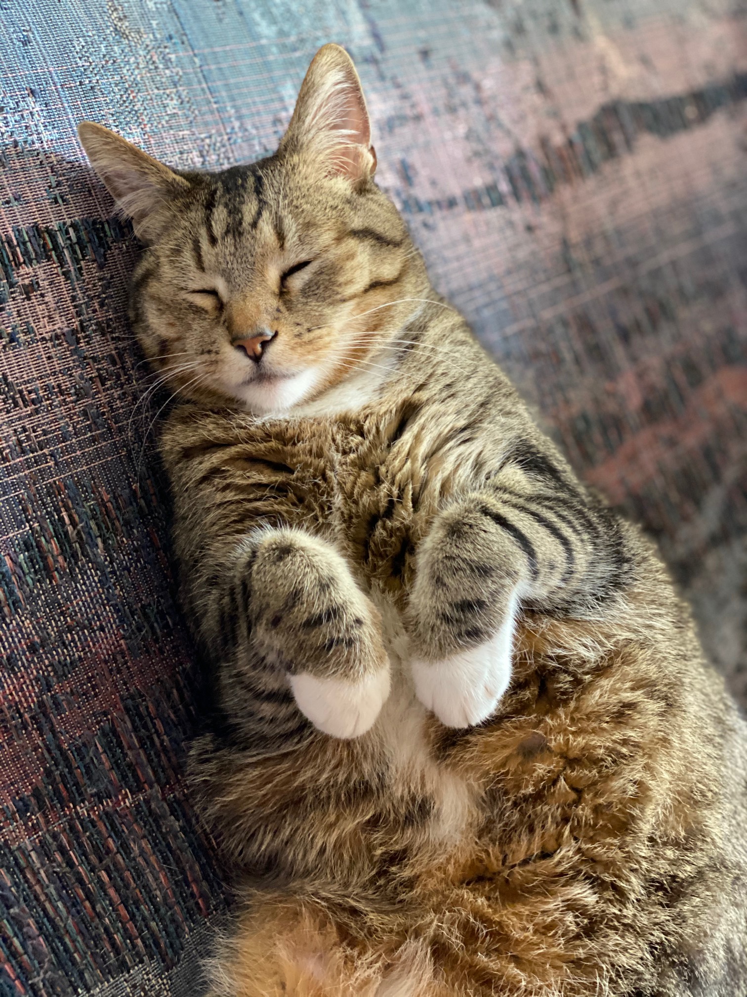 sleeping